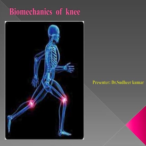 knee biomechanics