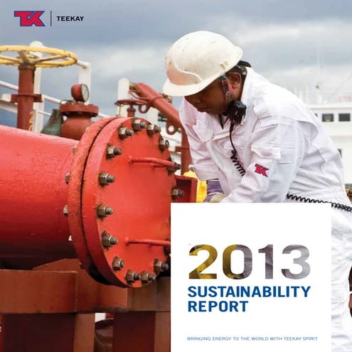 TK Engineering & Consulting - Project Management | PDF