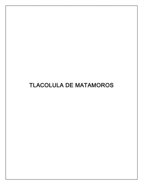 Tlacolula de matamoros PDF