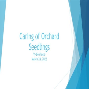 Powerpoint Presentation Of Different Competencies In Tle Pptx