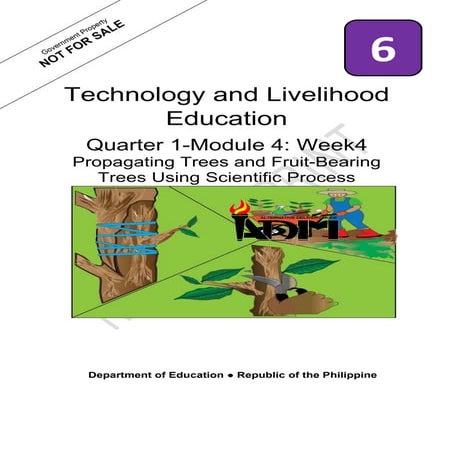 Tle6 q1 mod4_agriculture_propagating_trees_fruit-bearingtreesusingscientificp...