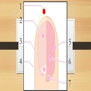 TLE NAIL STRUCTURES QUIZ LESSON 1 QUARTER 1 | PPTX