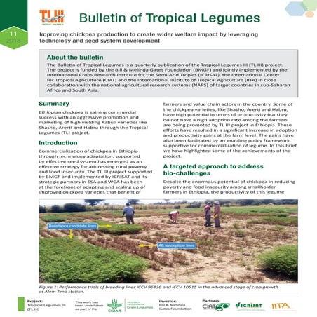 Eleventh bulletin of the quarterly publication of Tropical Legumes III (TL II...