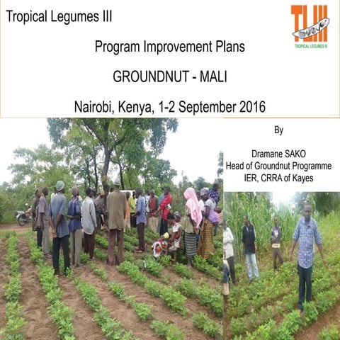TL III Genetic Gains Program improvement plan_Groundnut_Mali