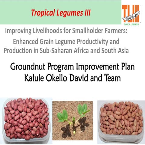 TL III Genetic Gains Program improvement Plan_Groundnut_Uganda