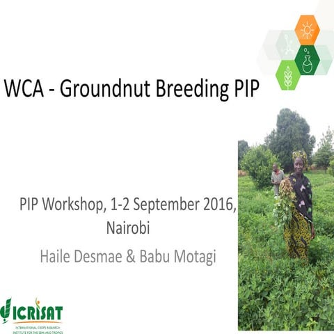 TL III Gentic Gains Program improvement plan_ICRISAT_Groundnut_WCA