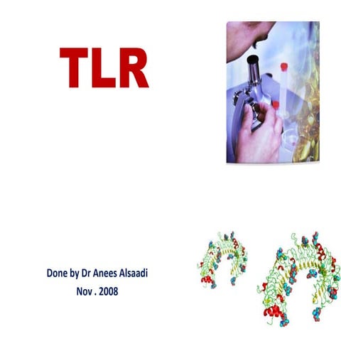 TLR