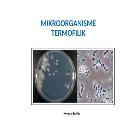 3 bakteri thermofil, mesofil dan psikrofil | PPTX
