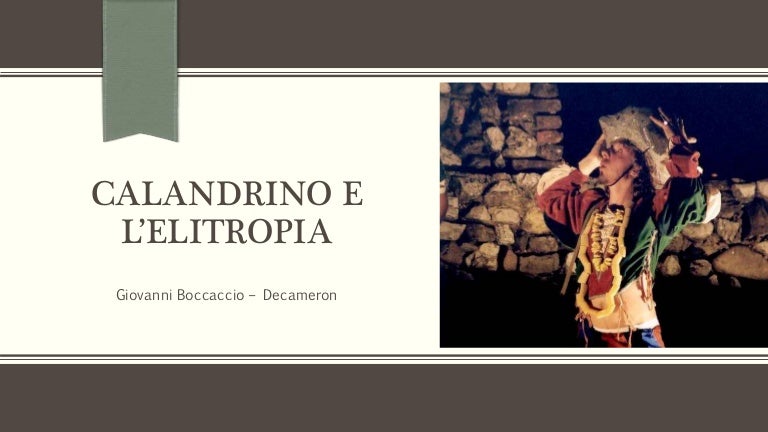 Calandrino E Lelitropia Riassunto Breve 10 Righe