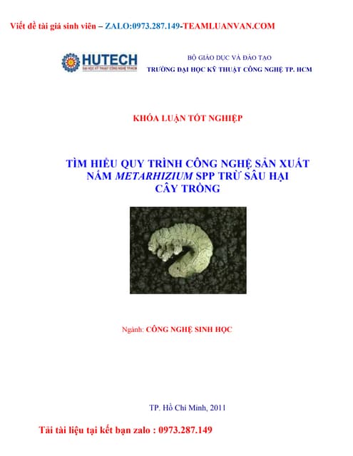 Tìm hiểu quy trình công nghệ sản xuất nấm metarhizium spp trừ sâu hại cây trồ...