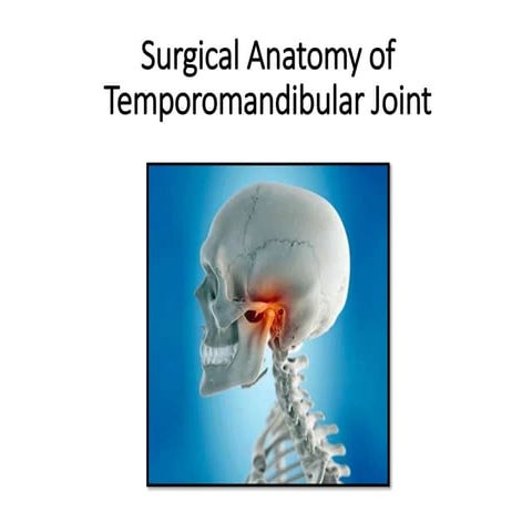 surgical anatomy of TMJ
