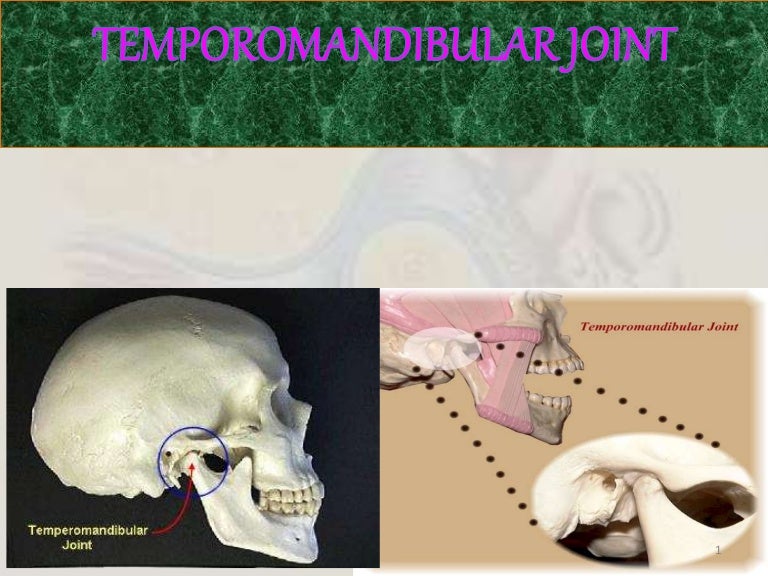 Tmj(part 1) evaluation and development