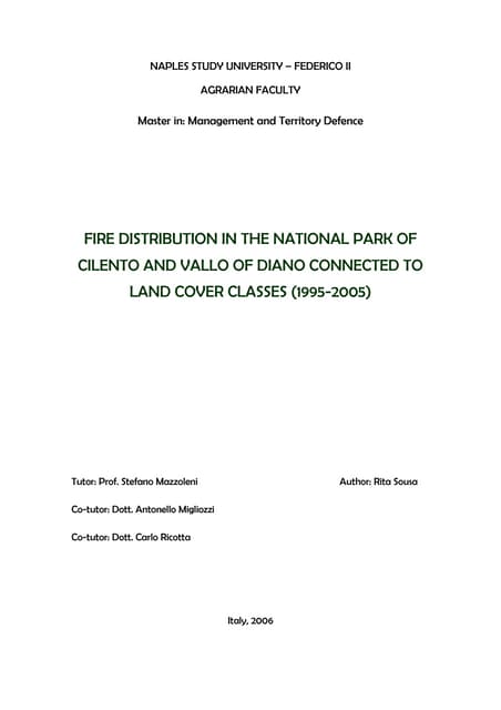 Master Thesis Rita Sousa