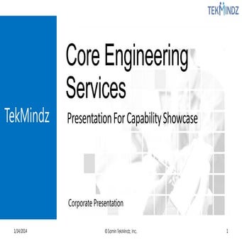 TekMindz core capabilities