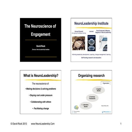 TNR2013 David Rock, The Neuroscience of Engagement