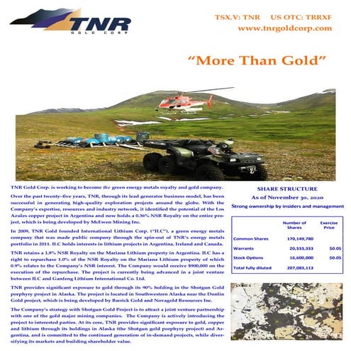 TNR Gold Fact Sheet
