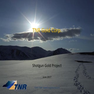 TNR Gold: Shotgun Gold Project, Ala...