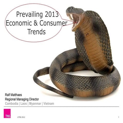 TNS - Prevailing 2013 Economic & Consumer Trends