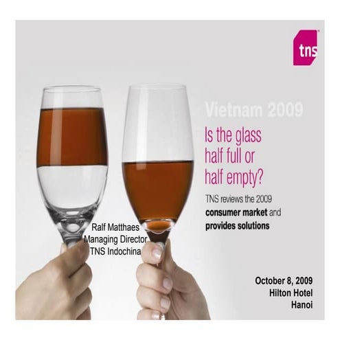 Vietnamese consumer market review