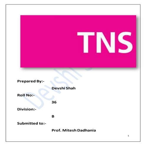 TNS Research Firm - RM Project