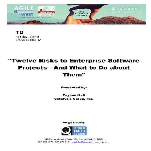 Twelve Risks to Enterprise Software Projects-And What to Do About Them