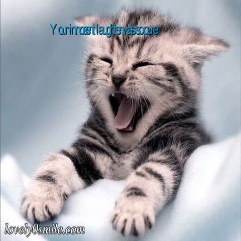 to everyone who has lost someone close to them