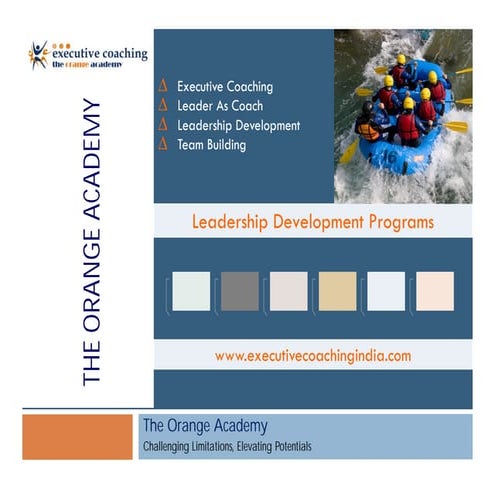 Toa Executive Coaching India Brochure