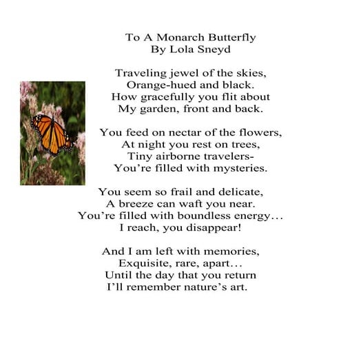 To a monarch butterfly