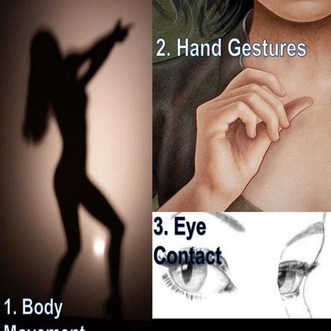 Toastmasters speech 2  - organize your speech - she knows how to move her bod...