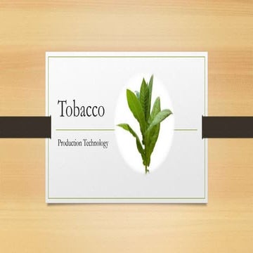 production technology of tobacco 1. Production Technology of Tobacco