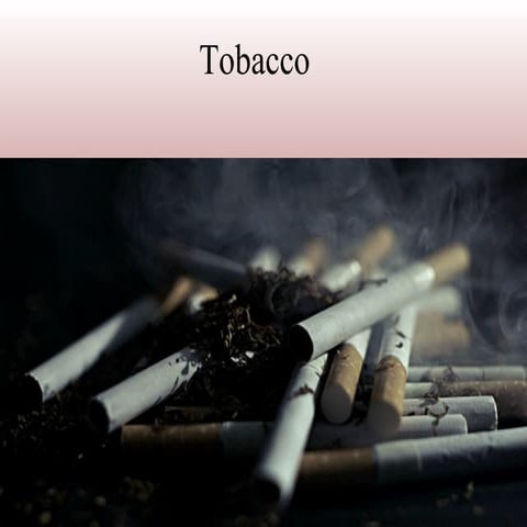 Tobacco addiction