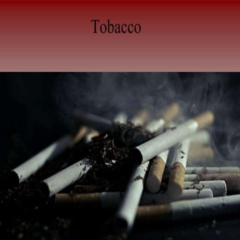 Tobacco by abhinav