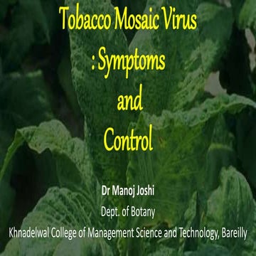 Tobacco mosaic virus