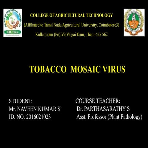 Tobacco mosaic virus 