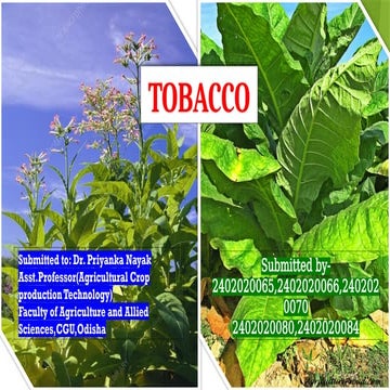 wild bill's tobacco gaylord michigan Wild Bill's Tobacco opens new IM store | News, Sports, Jobs