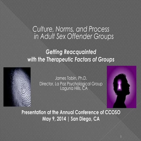 Culture, Norms, and Process in Adult Sex Offender Groups: Getting Reacquaint...