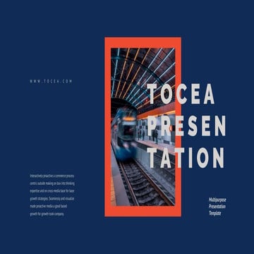 Tocea Presentation : Light Color Theme