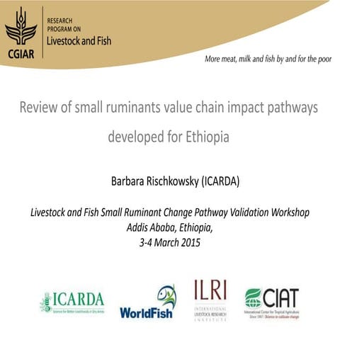 Review of small ruminants value chain impact pathways developed for Ethiopia