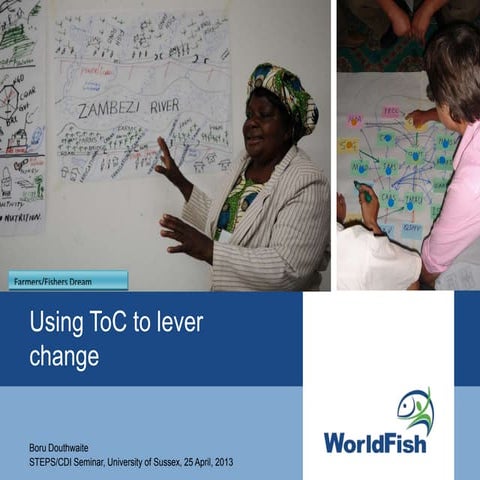 Boru Douthwaite: Theory of Change to lever change