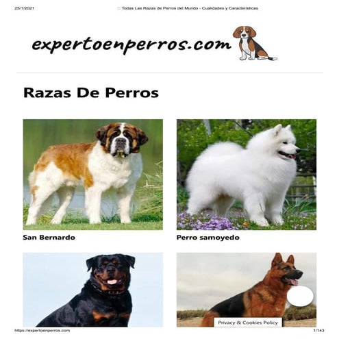 Razas De Perros En Orden Alfabético Razas De Perros: Nombres, Fotos Y
