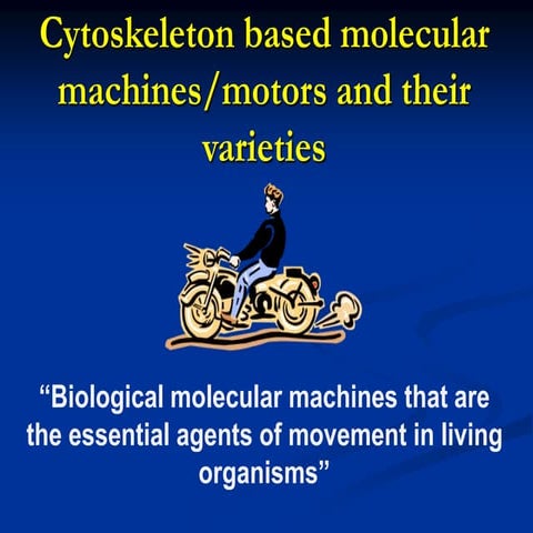 TODAYS LECT- cytoskelton based molecular motors and machines