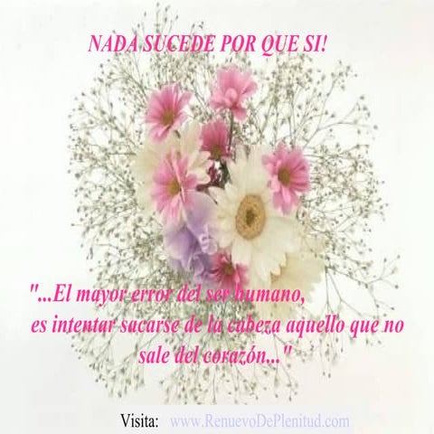 Todo tiene su porque