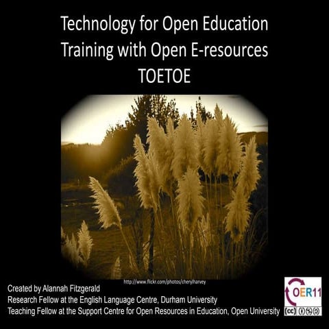 Technology for Open Education - Training with Open E-resources (TOETOE) in La...