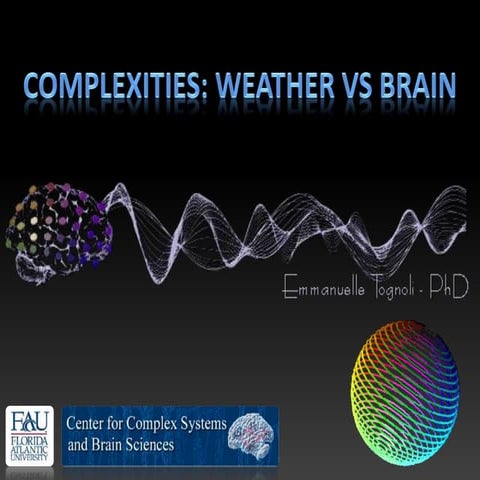 Tognoli Complexity: Weather Vs. Brain