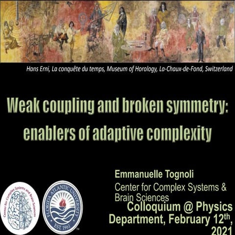Weak coupling and broken symmetry: enablers of adaptive complexity - E. Togno...