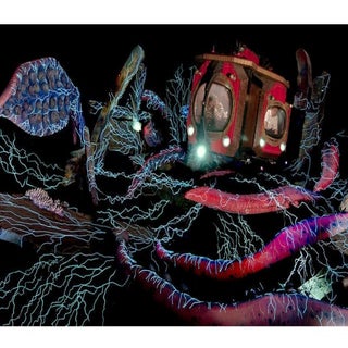 Tokyo disney presentation