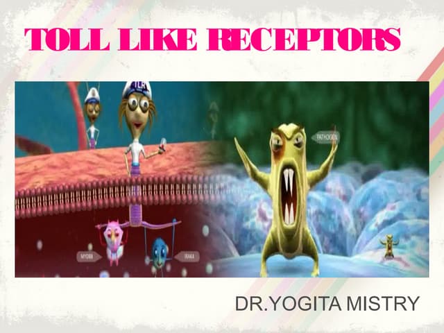 Tol like receptors