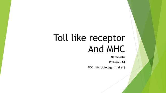 Toll like receptor and MHC