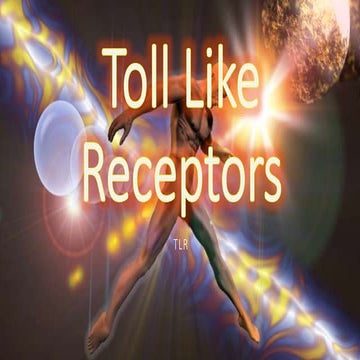 Toll like receptors