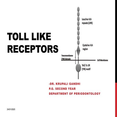 Toll like receptors in periodontology 